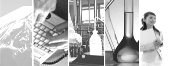 通過充分利用國家有關(guān)政策并憑借獨特優(yōu)勢，北京市服務外包產(chǎn)業(yè)業(yè)務快速增長。目前，北京服務外包正逐步走向規(guī)?；?、高端化和國際化。