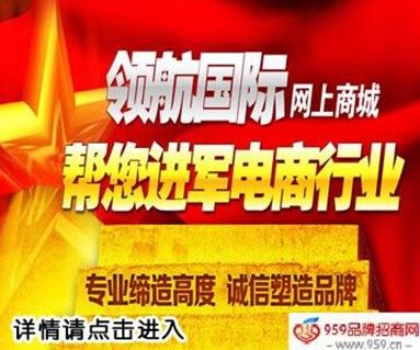 領(lǐng)航國際商盟B2C電子商務(wù)呼叫中心的建設(shè) 領(lǐng)航國際商盟B2C電子商務(wù)呼叫中心的建設(shè)